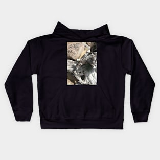 Weathered Rocks and Wood Kids Hoodie